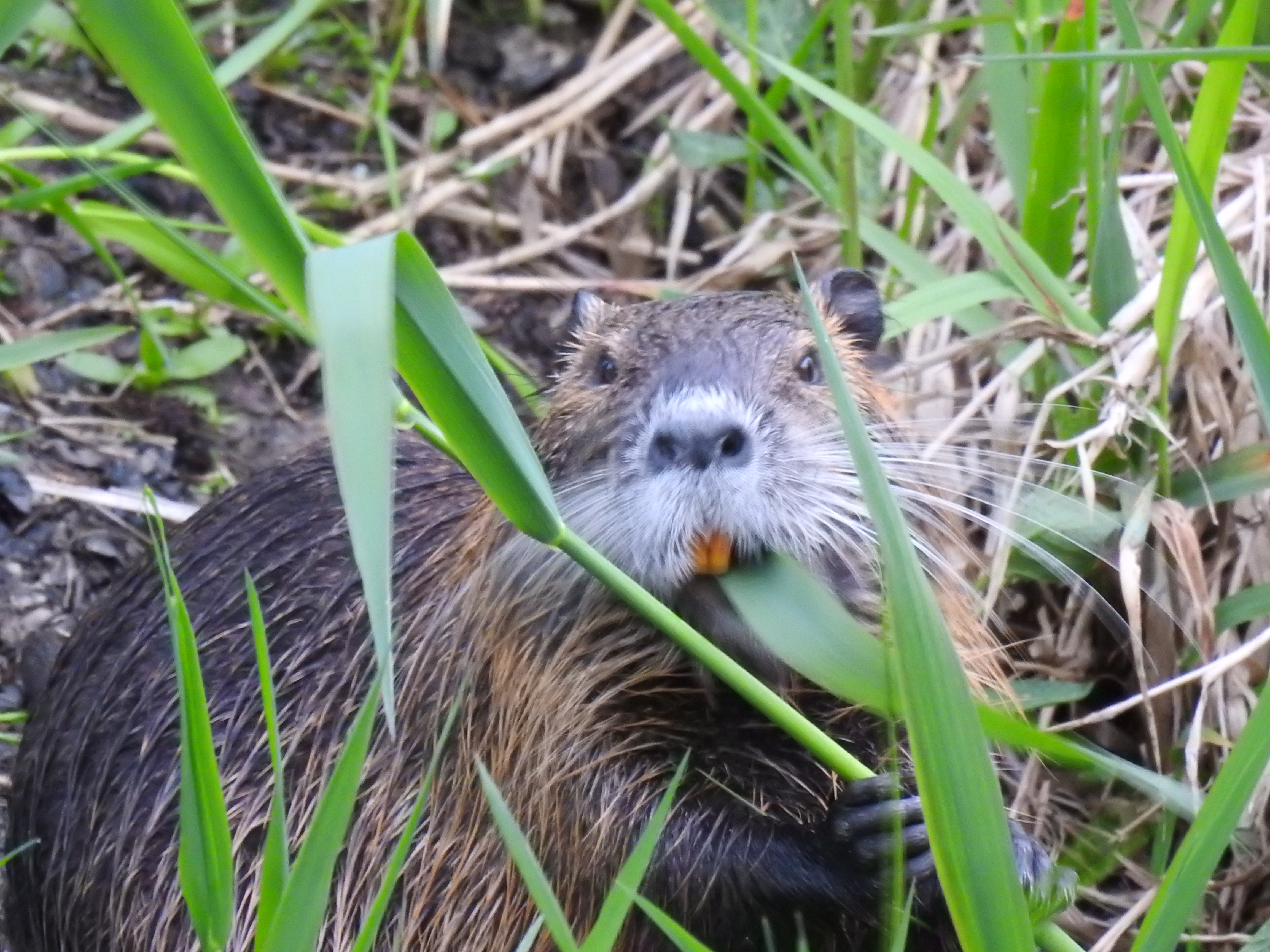 Change your perspective..