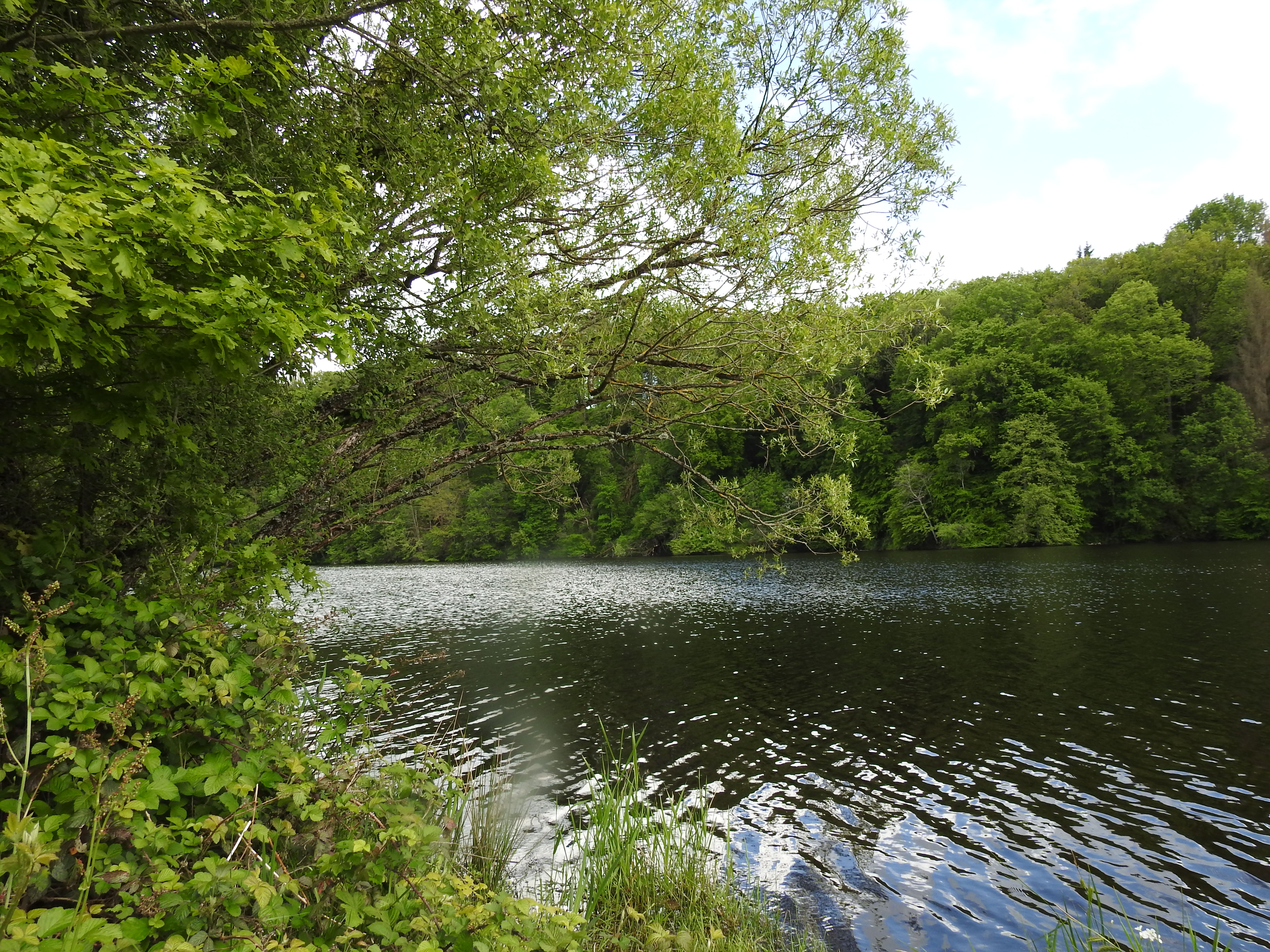We are a river………..
