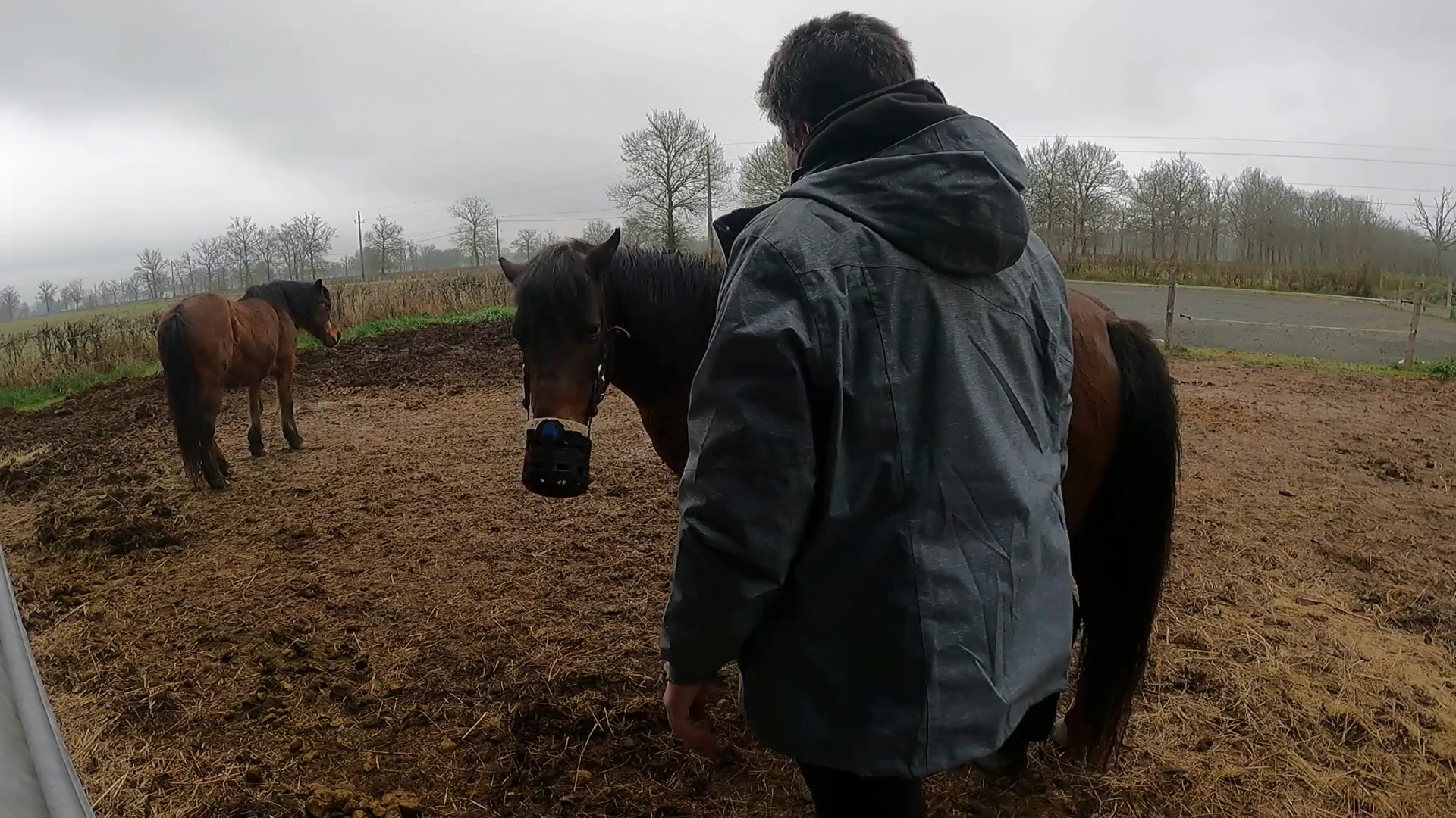 It is muzzling time….