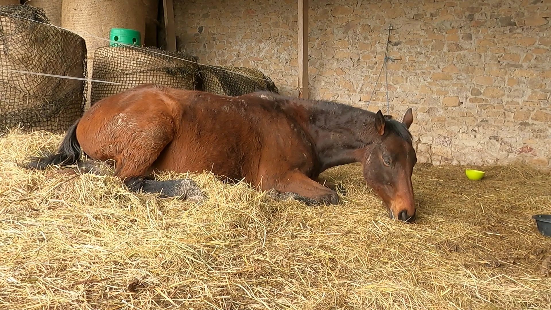Timmy really needed to heal today..