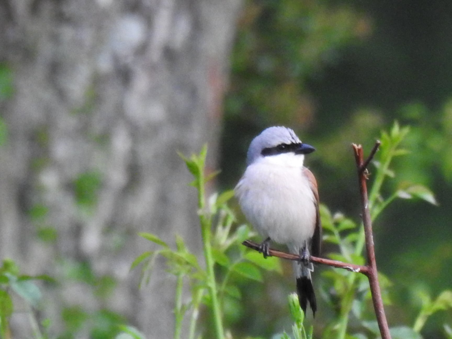 Feeling judged? Doubting yourself?