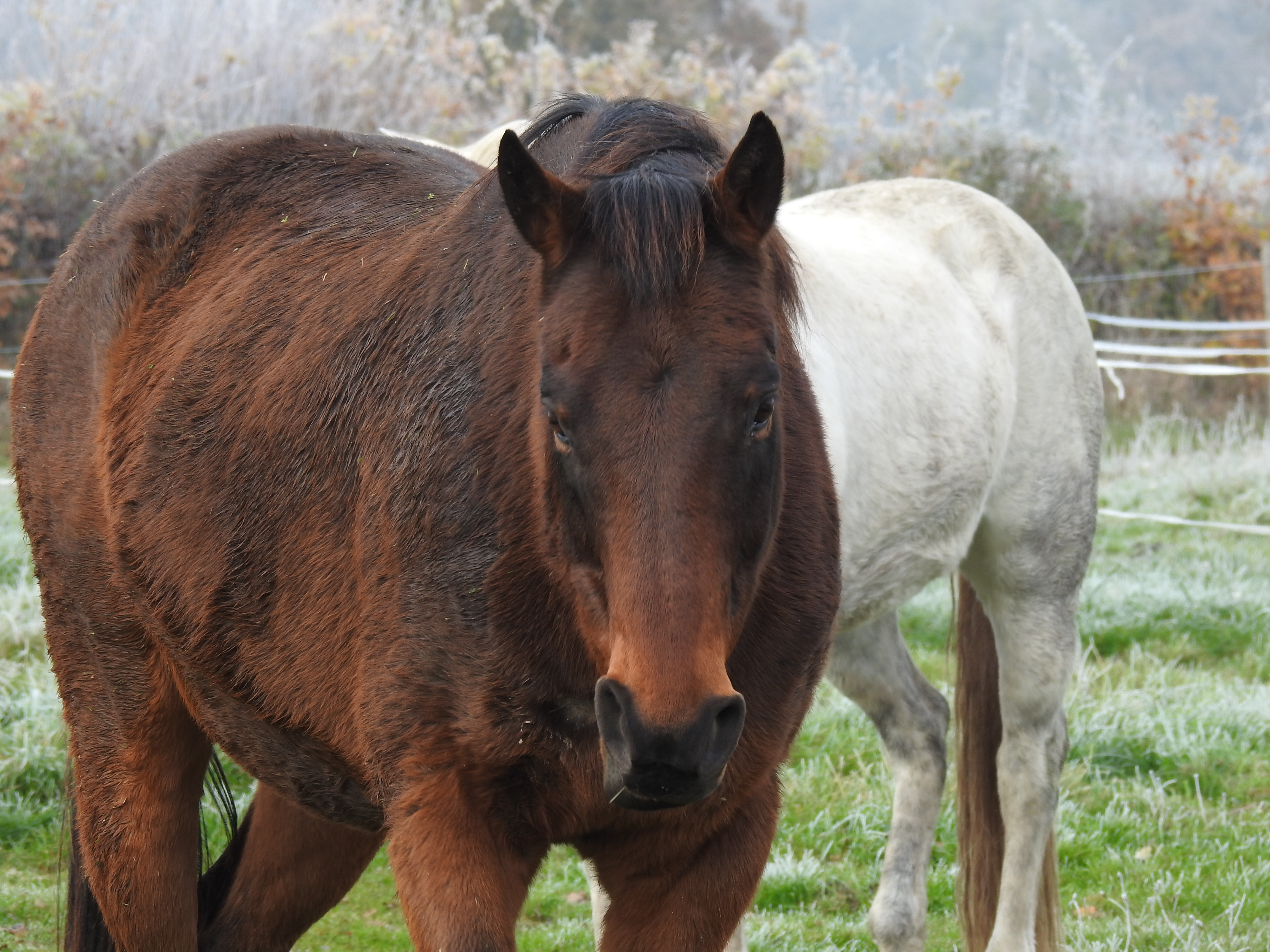 Seek to be Whole, not Perfect