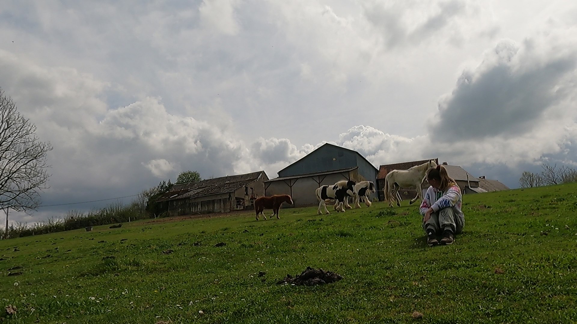 Oops..I found myself walking towards a human..