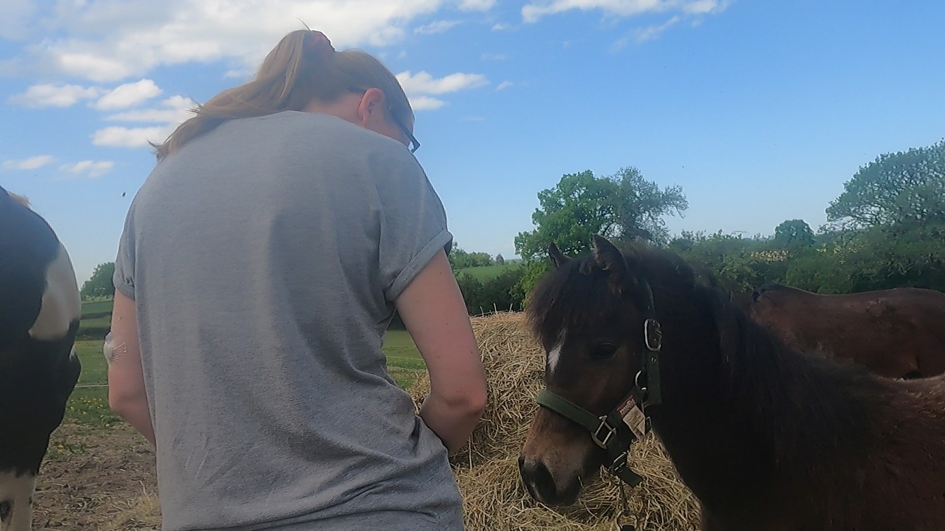 Teaching an 11 month old that humans are fun